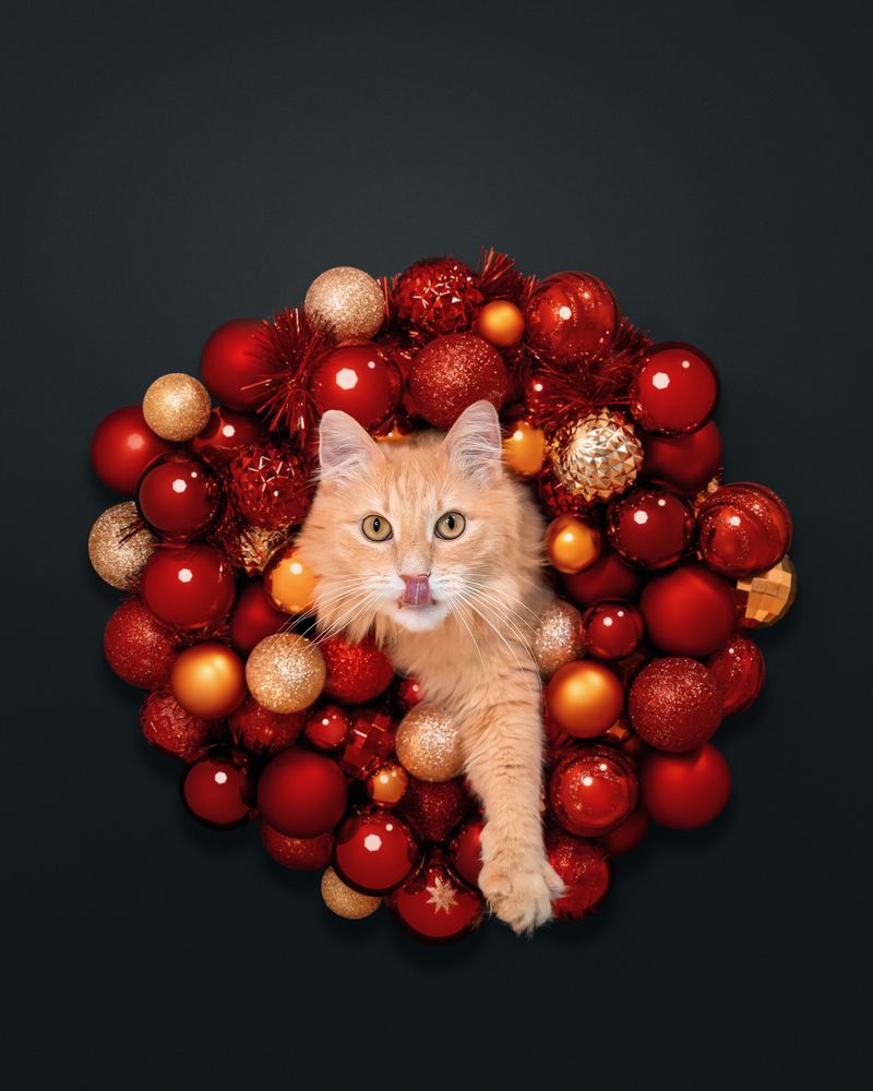 Фотография автора Мазурева Анастасия