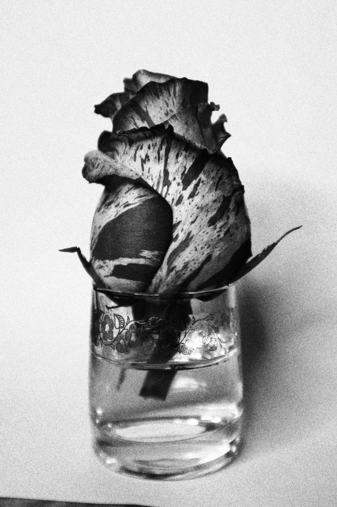 Photograph by Наталья Стерлина