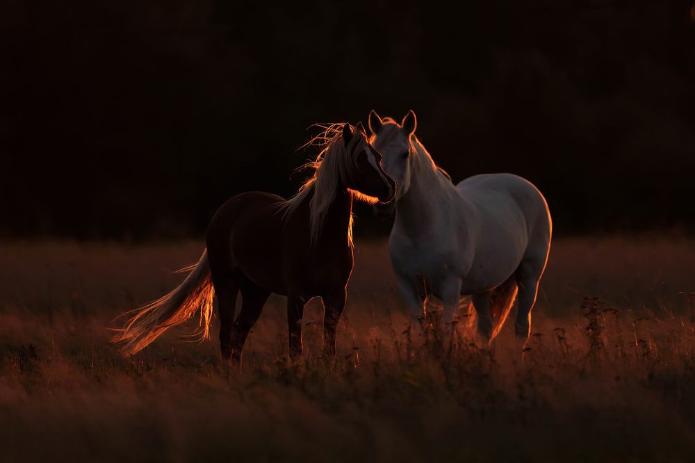 Фотография автора Helena