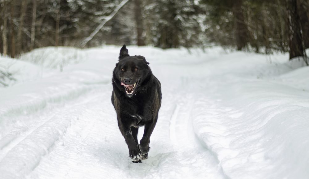 Photograph by Елена