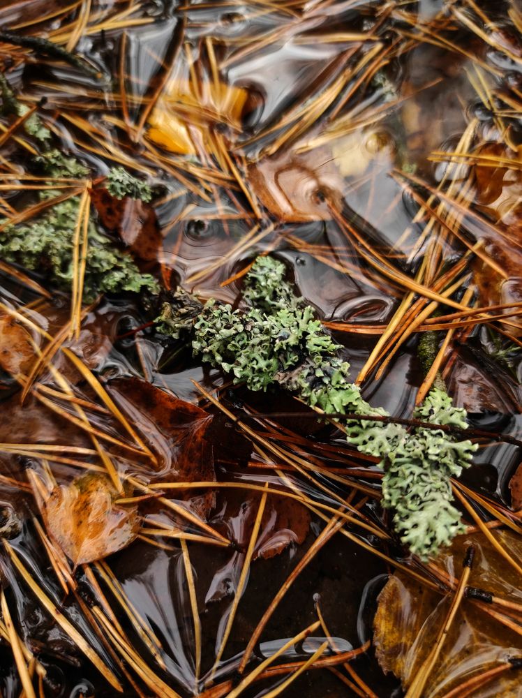 Photograph by Елена