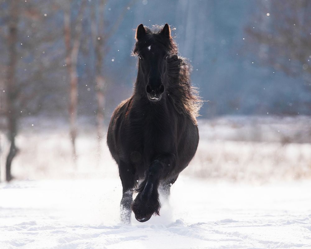 Photograph by Helena