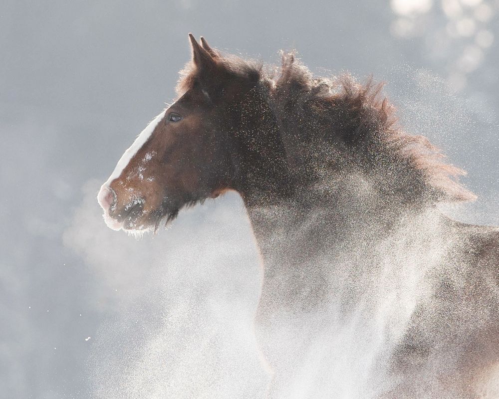 Фотография автора Helena
