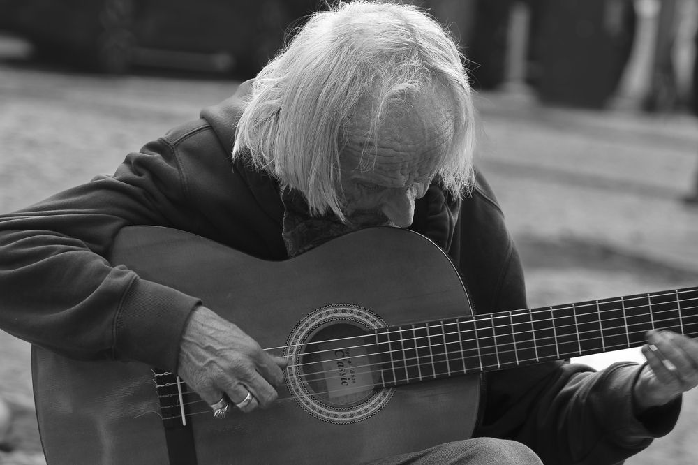 Фотография автора AYRES E POTTHOFF