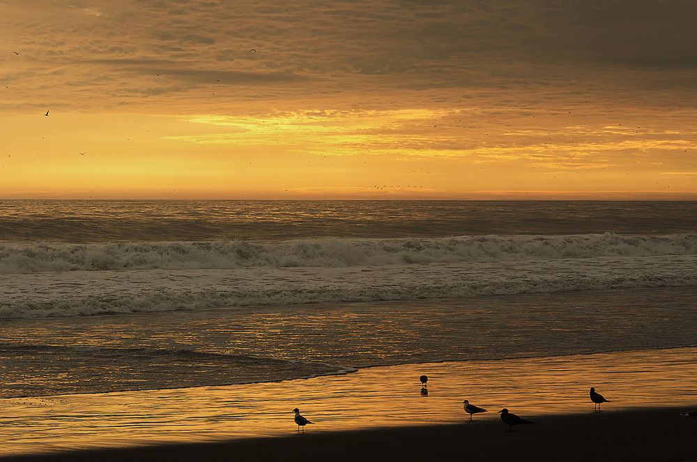 Golden Beach