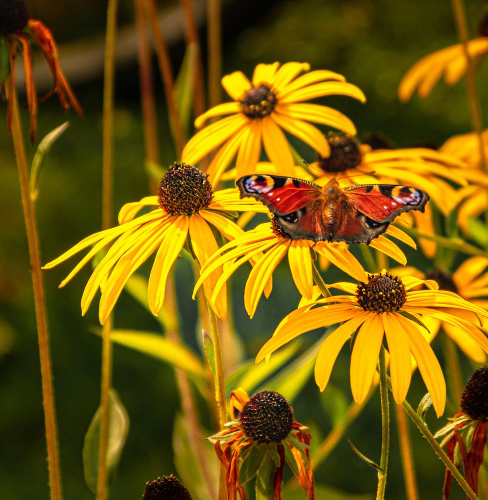 Photograph by Vitalii Kaznin