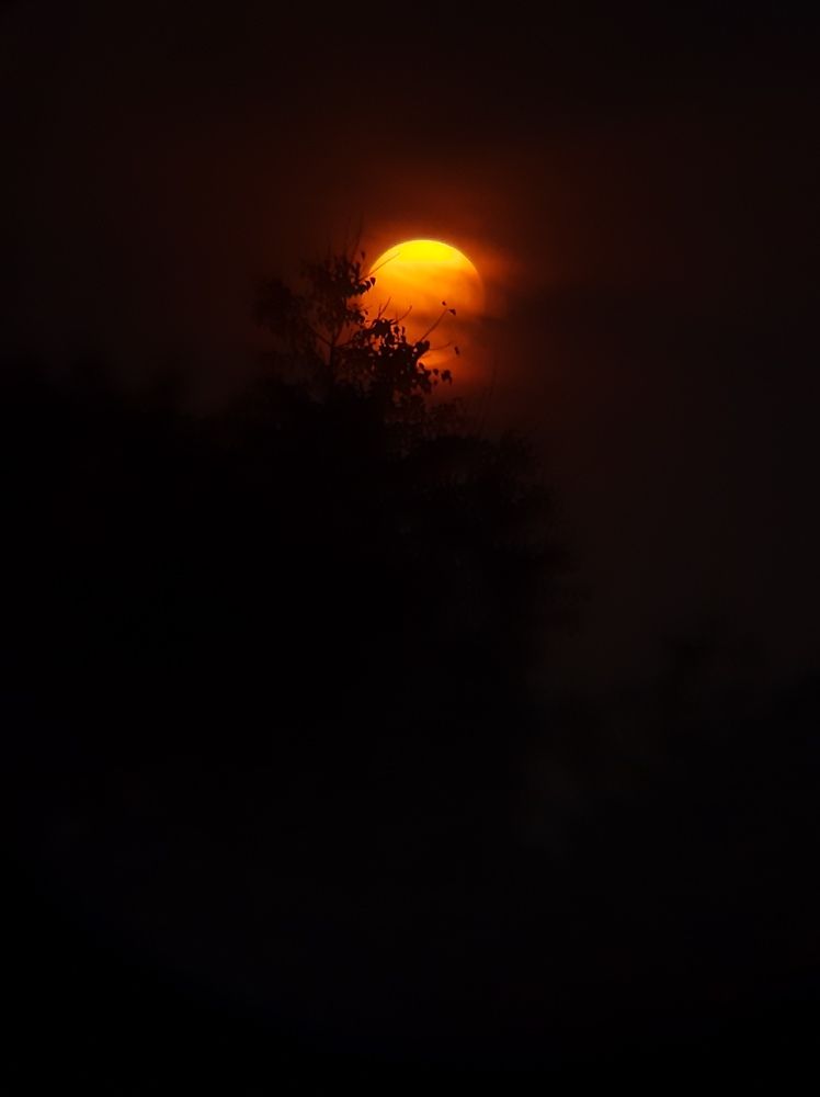 Photograph by Divyansh Dharmadhikari