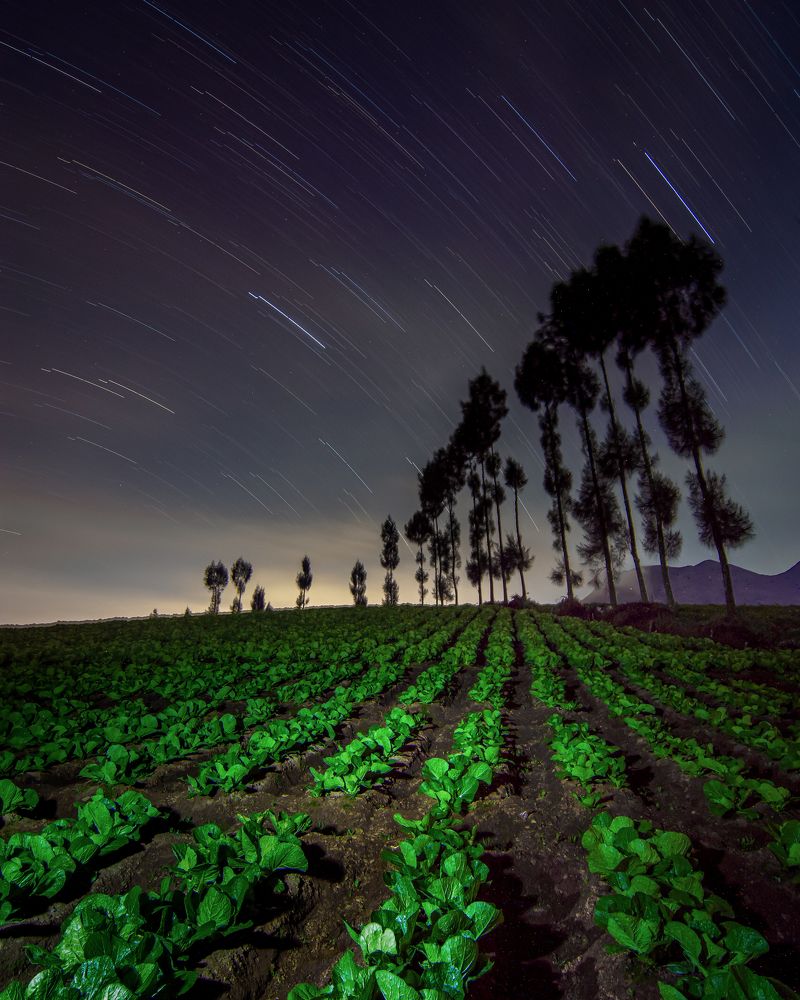 Photograph by Ryan Eko P