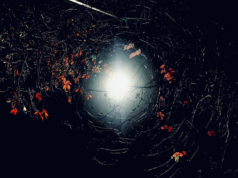 Photograph by LungLinhHuyenAo