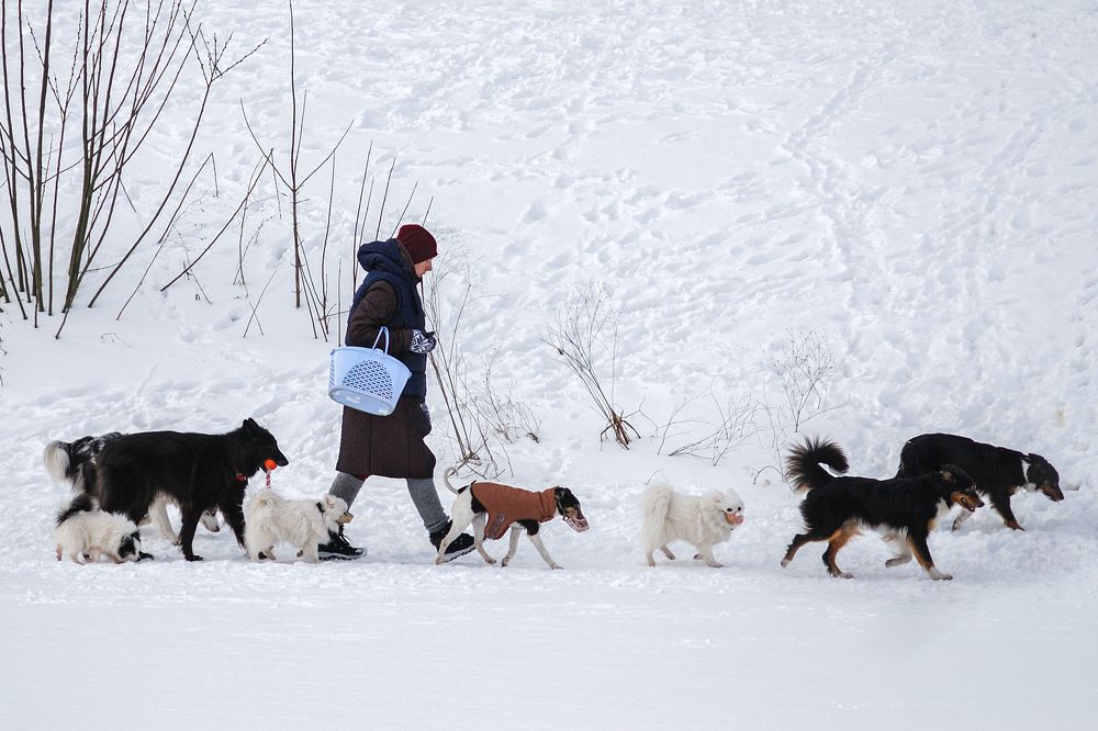 Photograph by Андрей Стрельников
