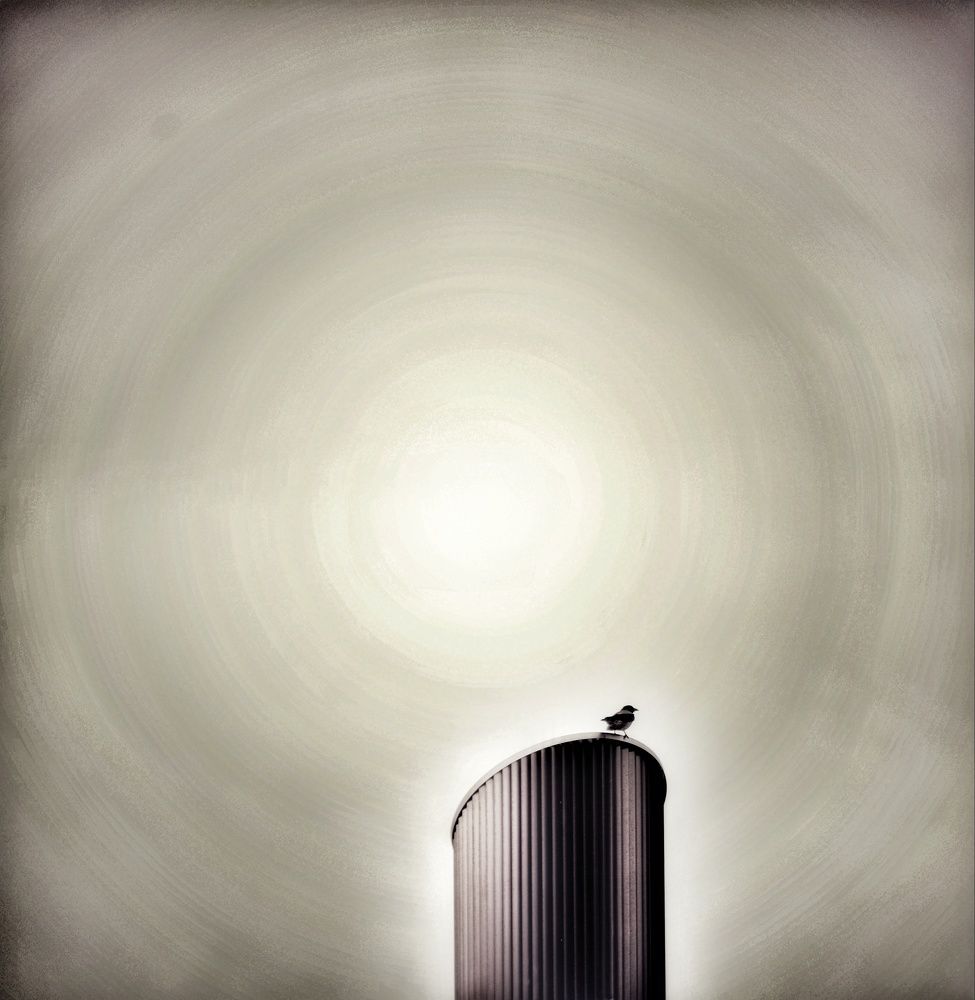 Photograph by Александр Лабутин
