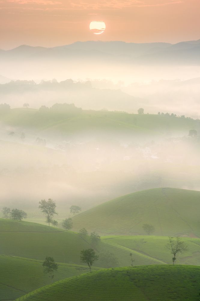 Photograph by Le Hoang Vu