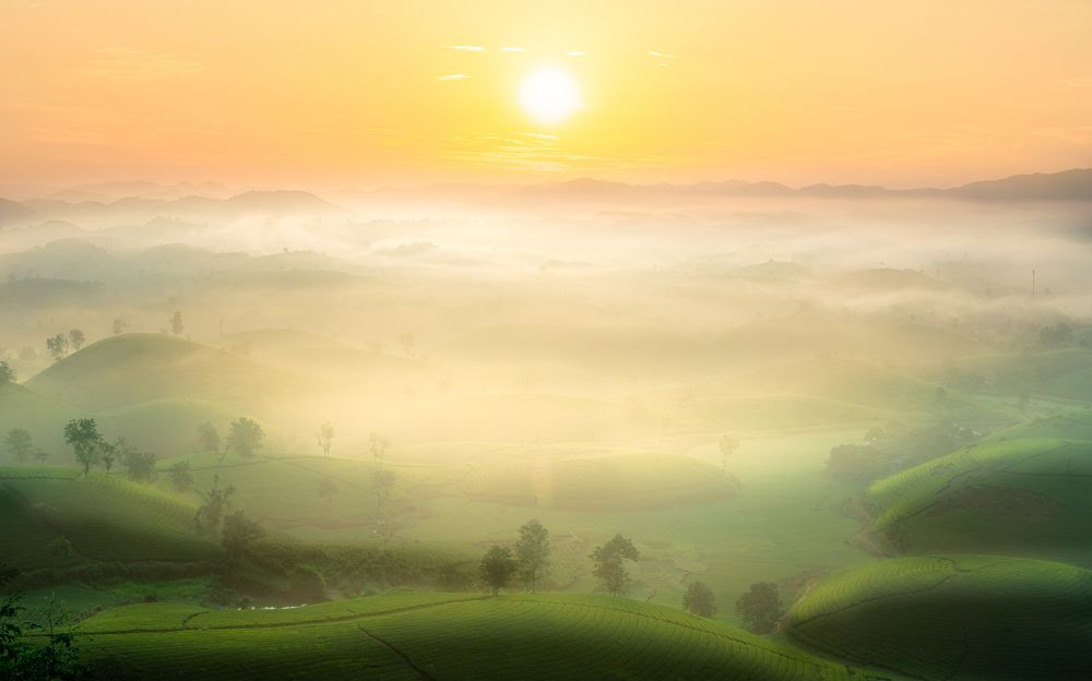 Photograph by Le Hoang Vu