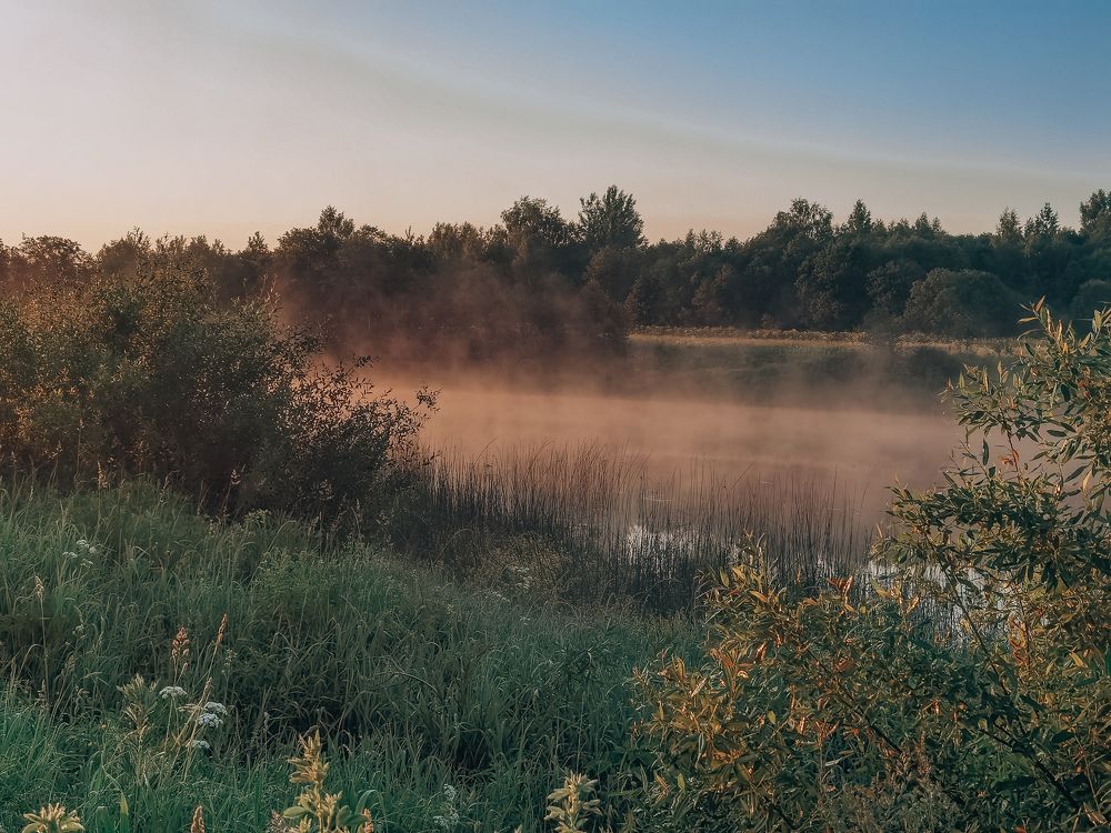 Photograph by Екатерина