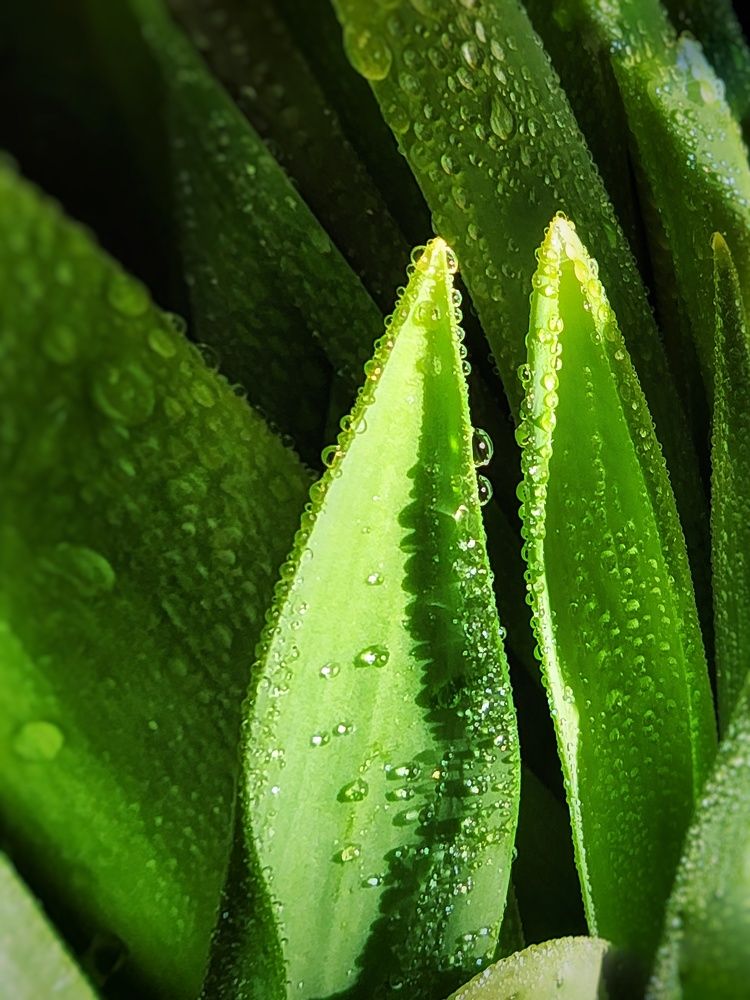 Photograph by Марина