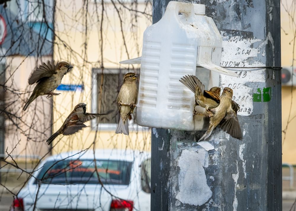 Photograph by Владимир Кваша