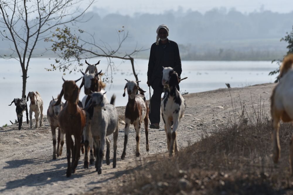 Photograph by Rajesh Kashyap