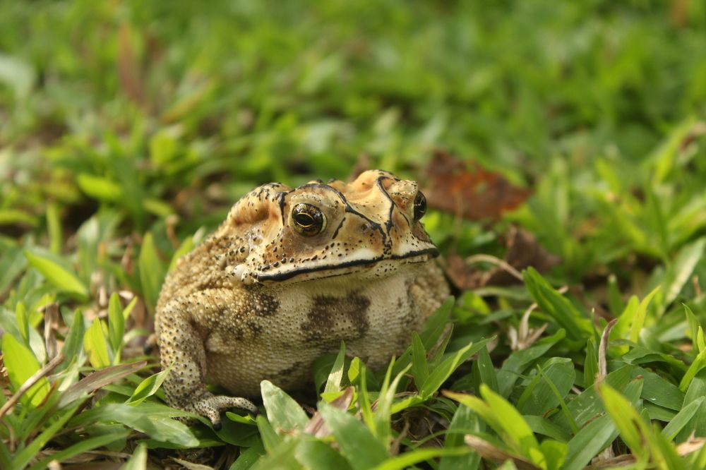 Photograph by Мария Прохорова