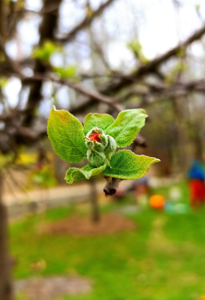 Photograph by Murtaza Rashid