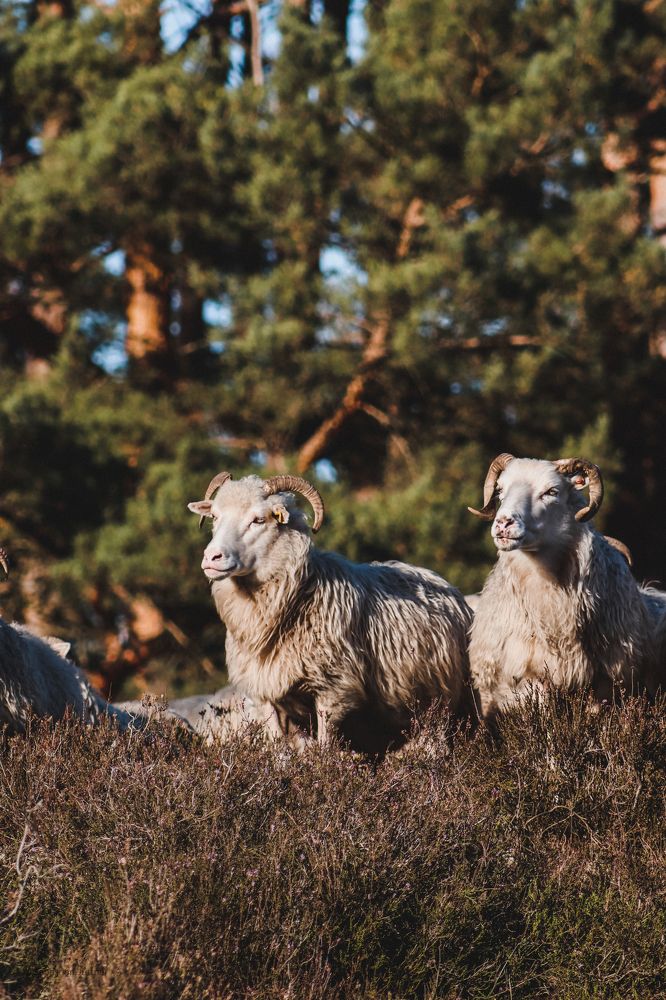 Photograph by Sebastian Jüttner