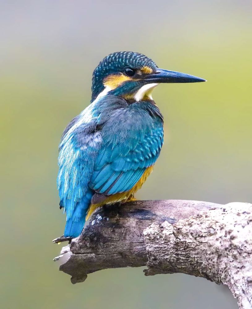 Photograph by prasenjit sinha