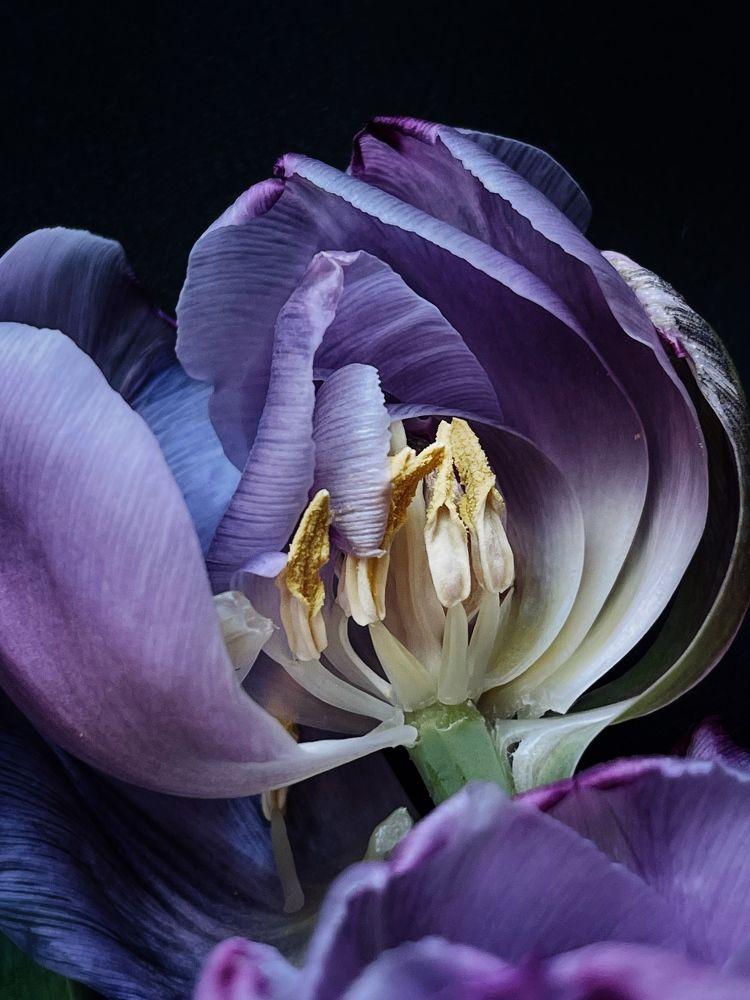 Photograph by Олена Уманцева