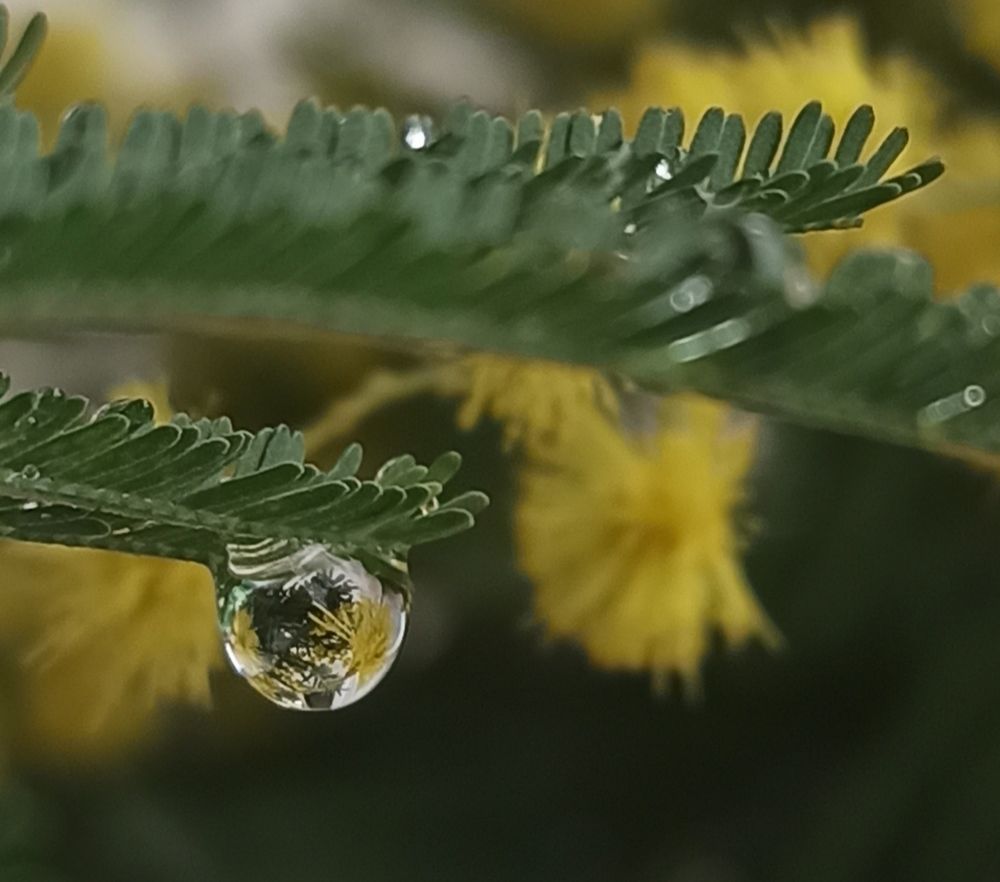 Photograph by Ольга Тихонова