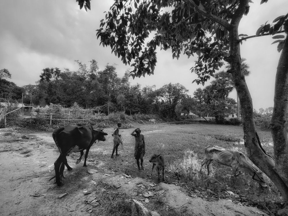 Photograph by Mithun Chowdhury