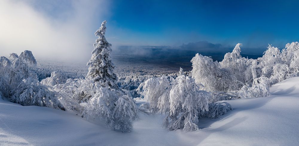 Photograph by Евгений Кармаев