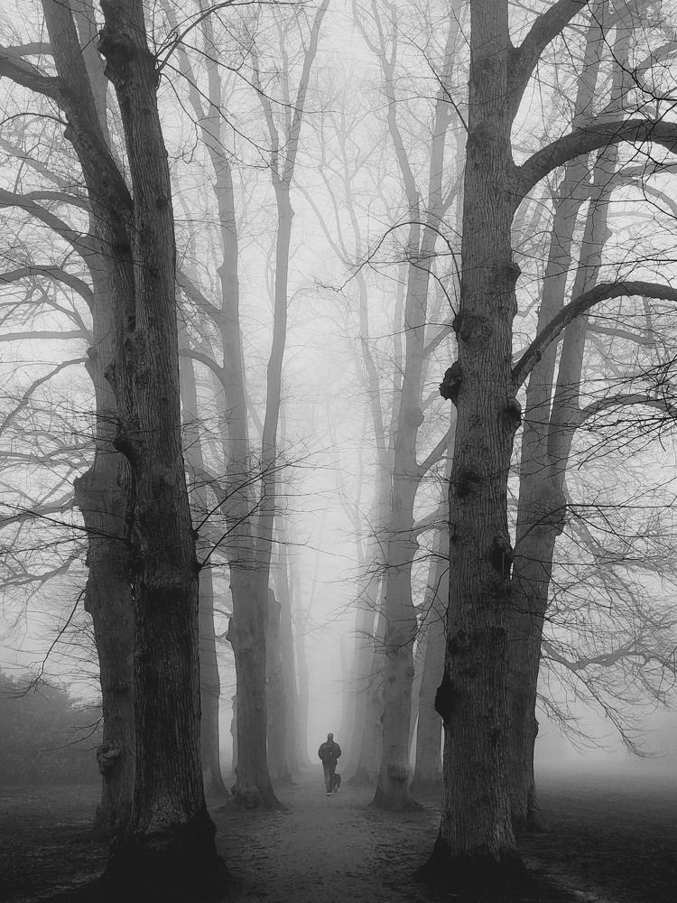 Photograph by Cozma Mihaela