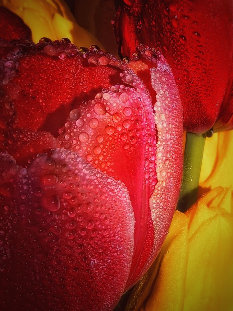 Photograph by Марина