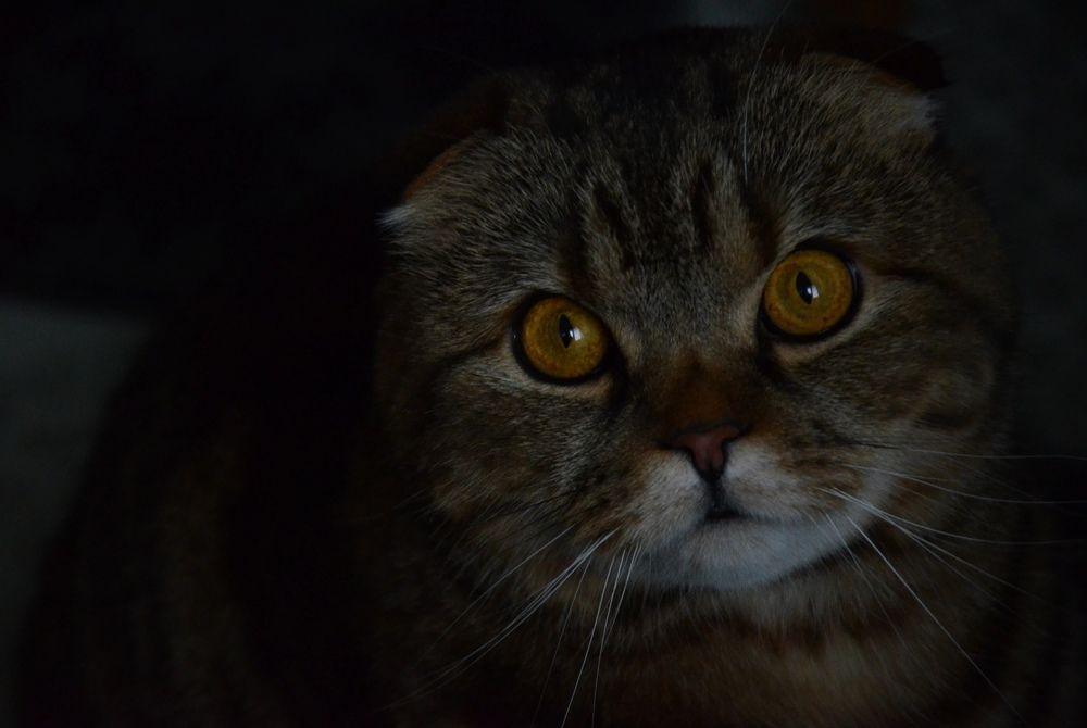 Photograph by Екатерина Яричева