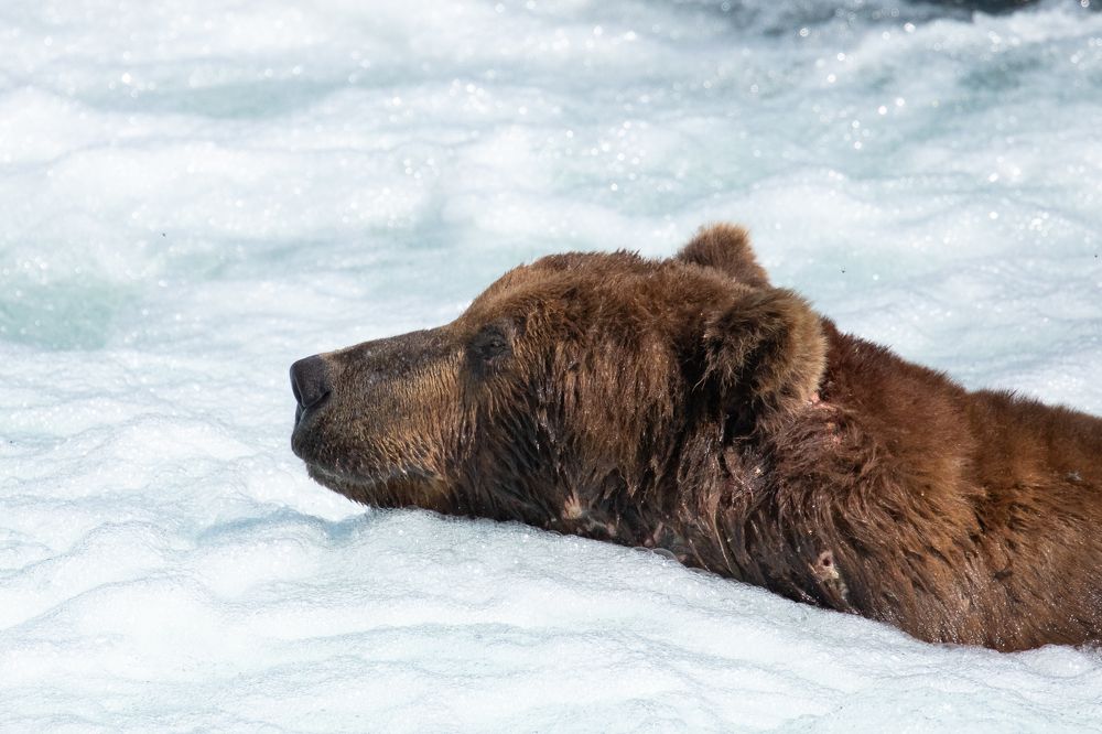 Photograph by Raquel Barao