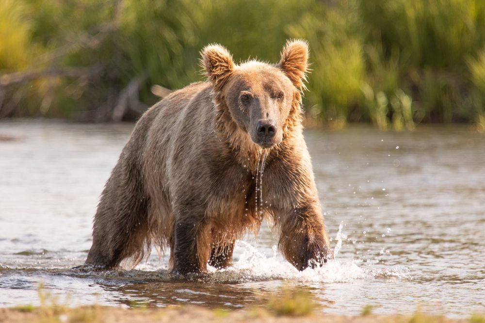 Photograph by Raquel Barao