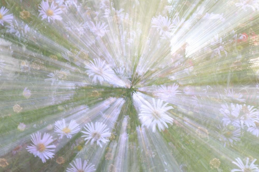 Photograph by Егорова Оксана