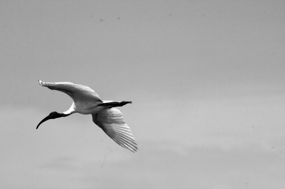 Photograph by RAMPRAKASH GNANM