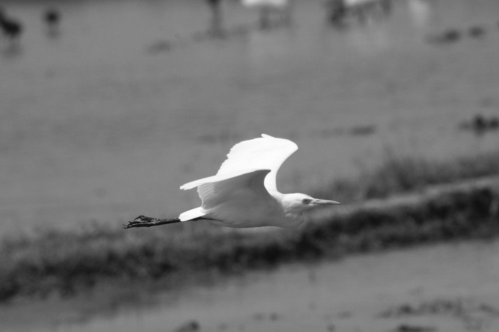Photograph by RAMPRAKASH GNANM