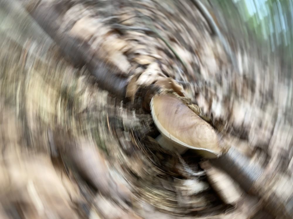 Photograph by Оксана Сидоренко