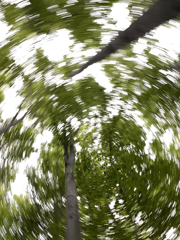 Photograph by Оксана Сидоренко