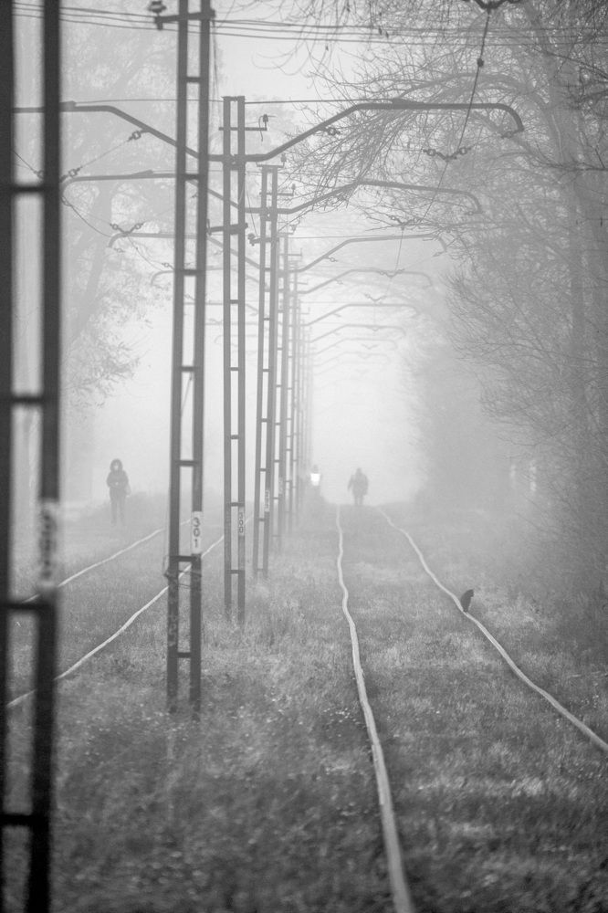 Photograph by Игорь Квочка