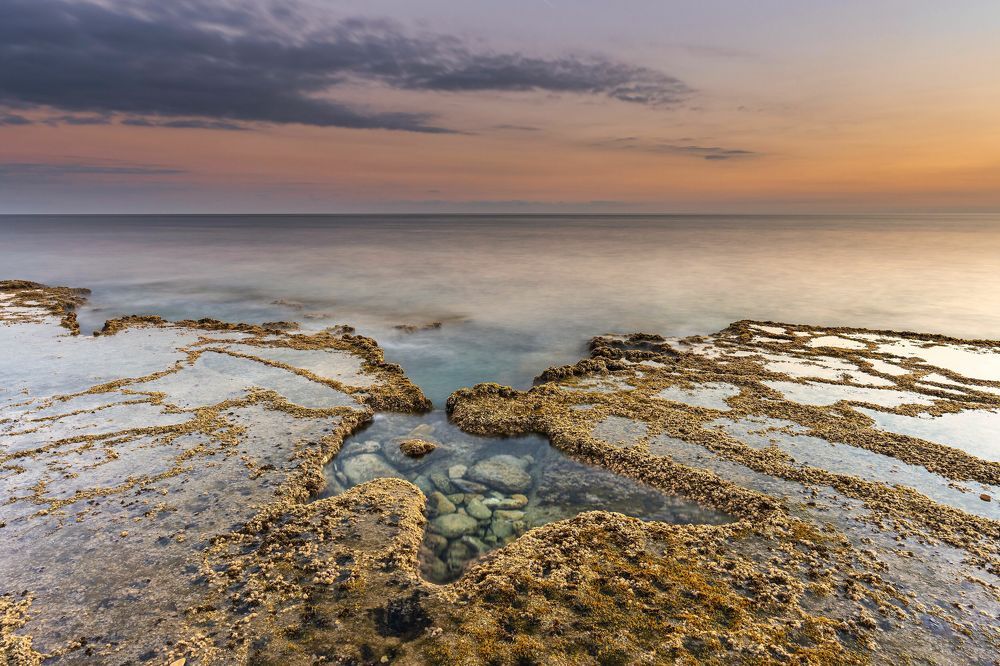 Photograph by Tomás Bejar