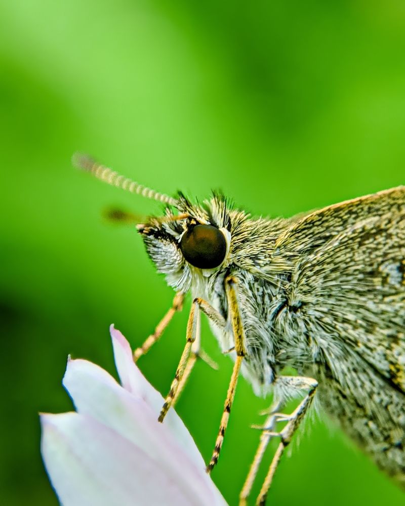 Photograph by Praveen