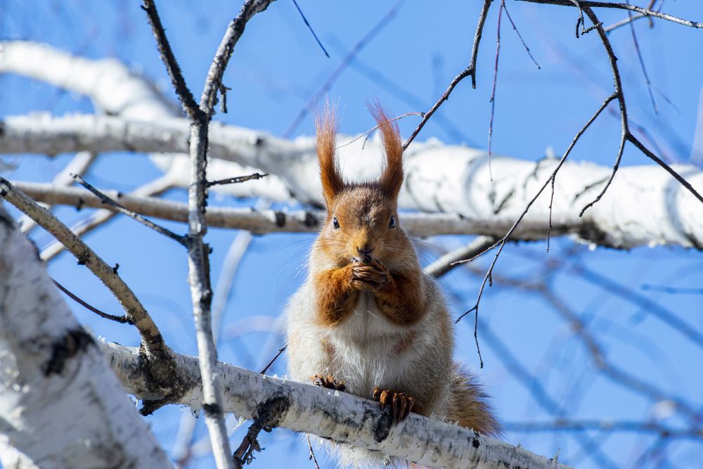 Photograph by Сергей Белов