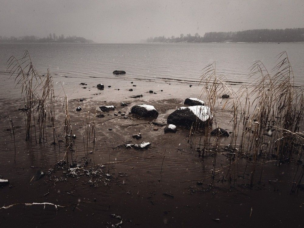 Фотография автора Фролов Владимир