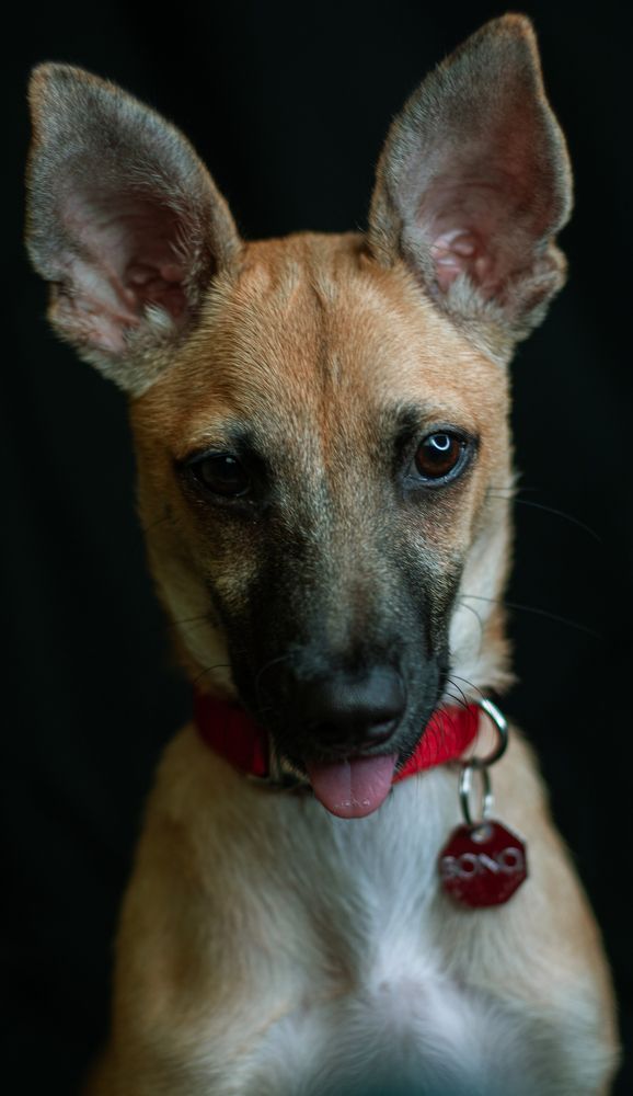 Photograph by Alejandra