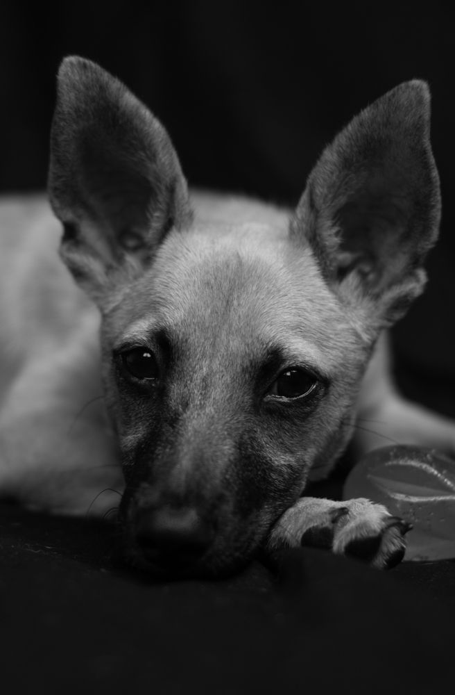 Photograph by Alejandra