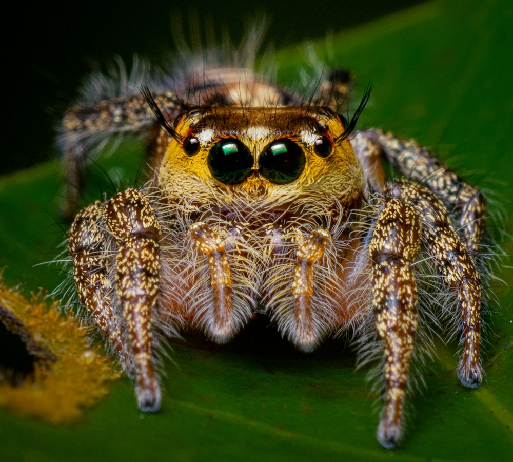 Фотография автора Abhinand R V