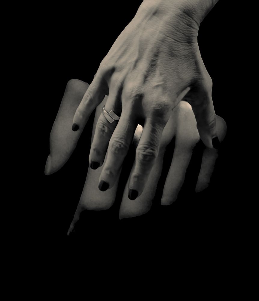 Фотография автора AYRES E POTTHOFF