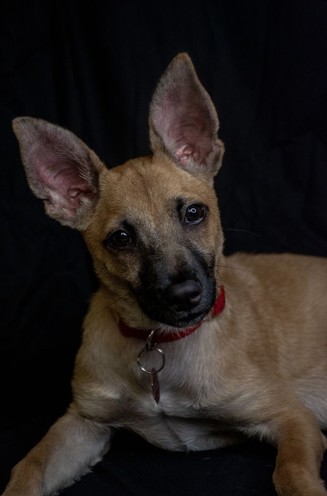 Photograph by Alejandra