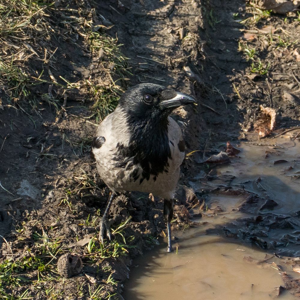 Photograph by Олег Башкуров